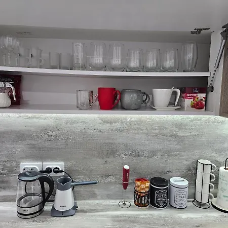 Lejlighed Aleksandra U Strogom Centru Grada *