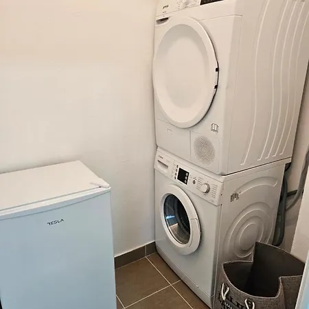 Aleksandra U Strogom Centru Grada Backa Topola