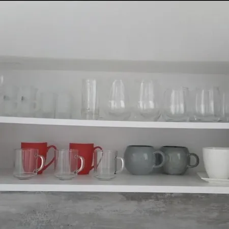 Aleksandra U Strogom Centru Grada Backa Topola