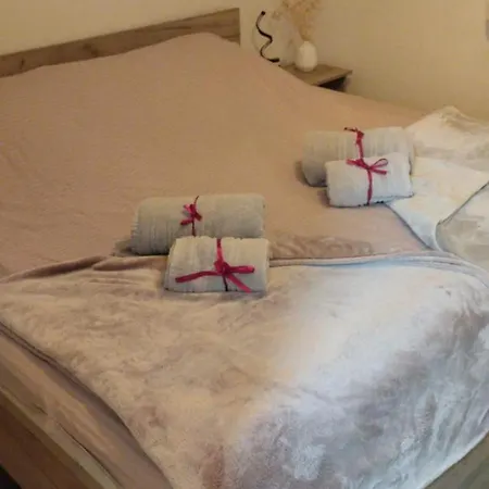 Aleksandra U Strogom Centru Grada Backa Topola