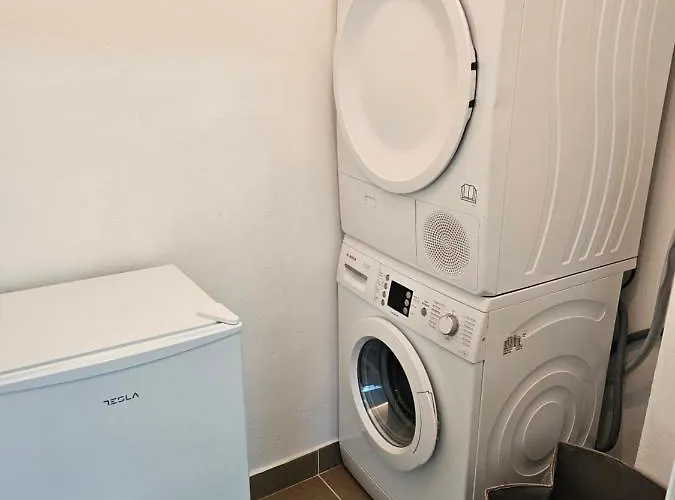 Aleksandra U Strogom Centru Grada Backa Topola