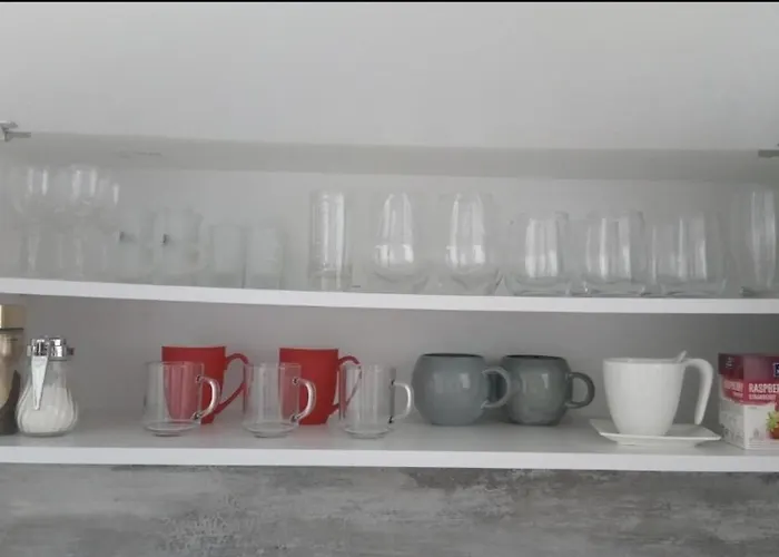 Aleksandra U Strogom Centru Grada Backa Topola