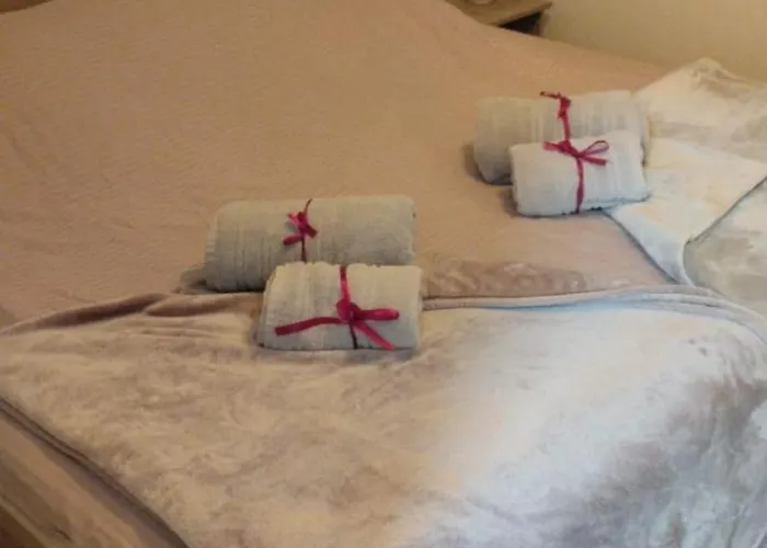 Aleksandra U Strogom Centru Grada Backa Topola